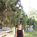 ���� ��������, ���������, 44 ���� - ��������� 24 ������ 2017 � ������ ���� ����������