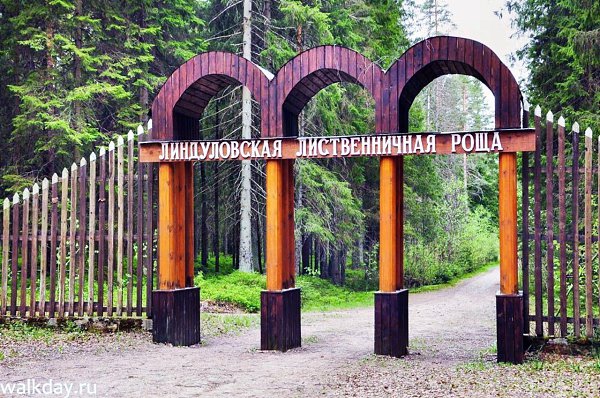 Линдуловская роща — государственный природный ботанический заказник. Расположен на территории ... - 7
