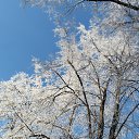 ���� �����, ������, 48 ��� - ��������� 3 ������ 2018 � ������ �������� ���������