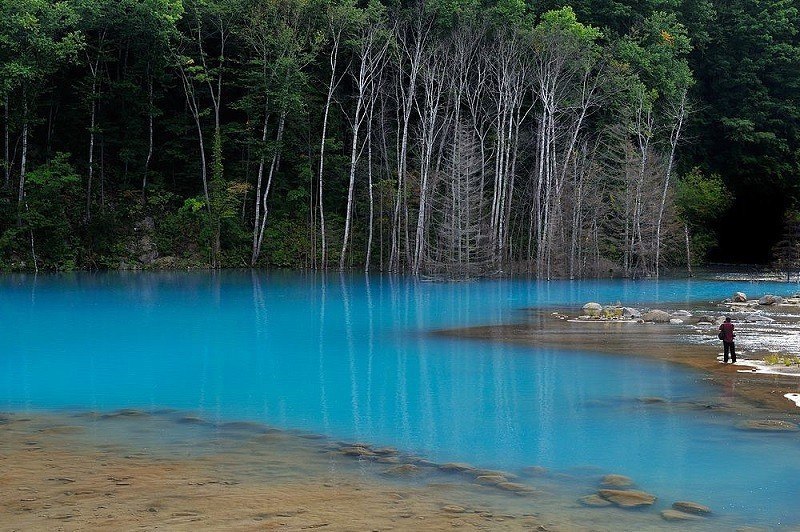      , .   (Blue Pond Biei)   ... - 2