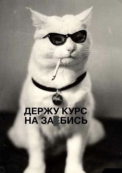  - 25  2018  15:44
