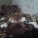  Saturn,  -  10  2018   