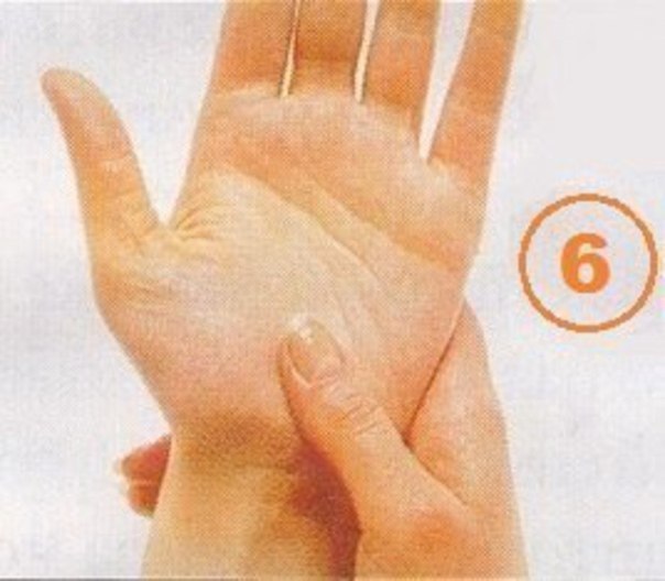 ,      ?      ... - 6