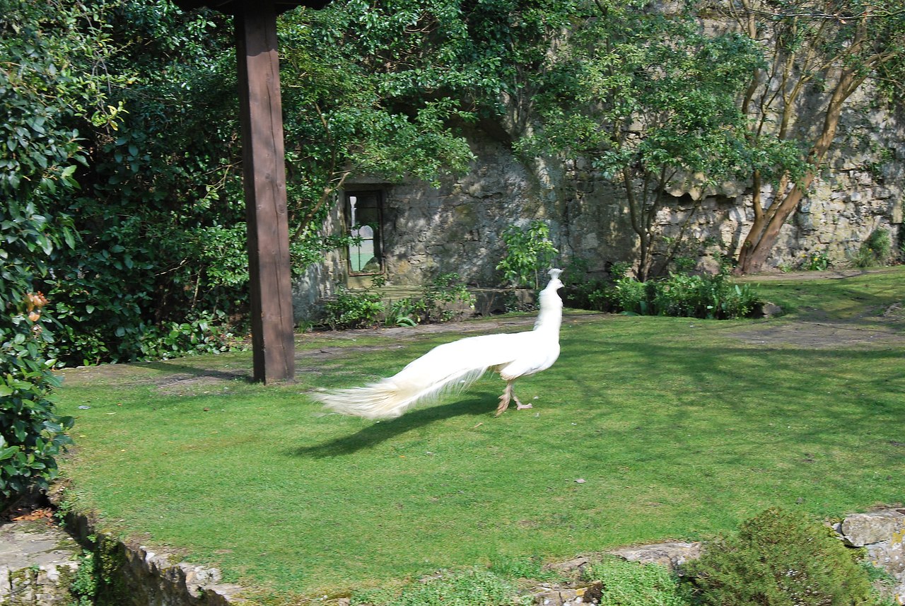 .    /Amberley Castle.  - Amberley Castle  ... - 34