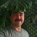 ���� �������, ��������, 57 ��� - ��������� 25 ������� 2017 � ������ ���� ����������