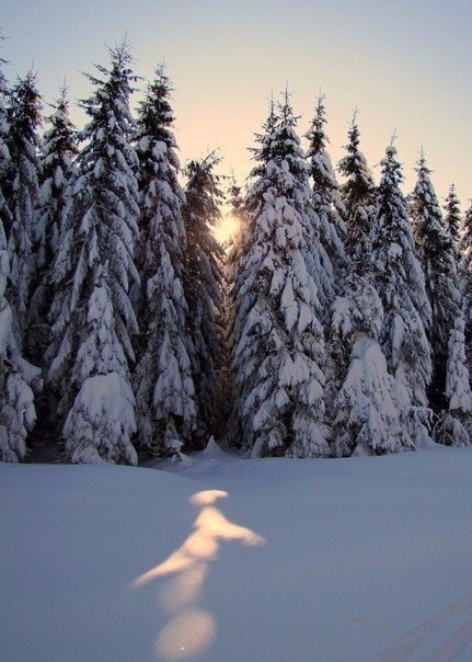  ... #just_travel # # - 5