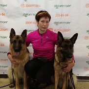 �������, 58 ���, ������ ��������