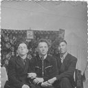 . , .  37. -29.04.1952.   