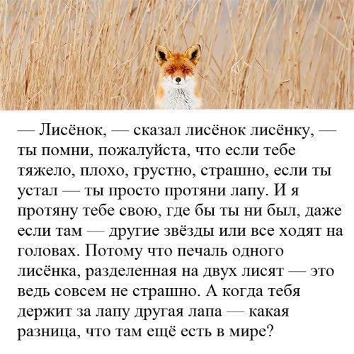   - 13  2018  03:48