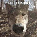 ���� ������, �����-���������, 67 ��� - ��������� 15 ������� 2018 � ������ ������ ��������