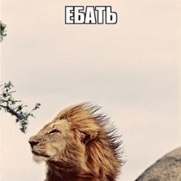 , , 38 