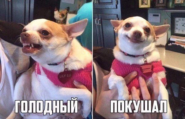    :D - 23  2018  02:38