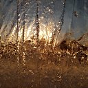 ���� �������, ��������, 41 ��� - ��������� 31 ������� 2017 � ������ �����