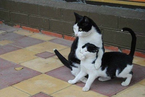Научитесь никому, ничего не рассказывать. Вот тогда все будет хорошо. © Бернард Шоу