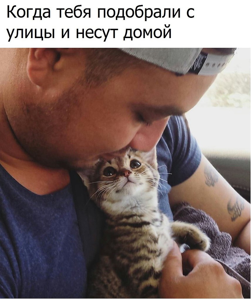   - 6  2018  03:53