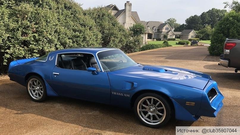 1981 Pontiac Firebird Trans AM - 3