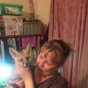 ���� �����, ����-���, 49 ��� - ��������� 18 ������ 2018