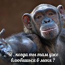 ���� Lena, ������ - ��������� 2 ���� 2018 � ������ ������ ��������