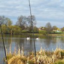 ���� �������, ����� - ��������� 29 ������ 2018 � ������ ���� ����������