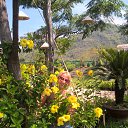 ���� �������, �������� - ��������� 21 ���� 2018 � ������ ���� ����������