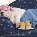 ���� �����, ���������, 64 ���� - ��������� 8 ������� 2018 � ������ ������ ��������