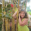 ���� �������, ������ ��������, 66 ��� - ��������� 24 ������ 2018 � ������ ���� ������� 2016�