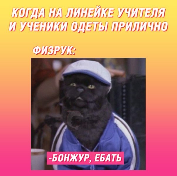   - 31  2018  03:51