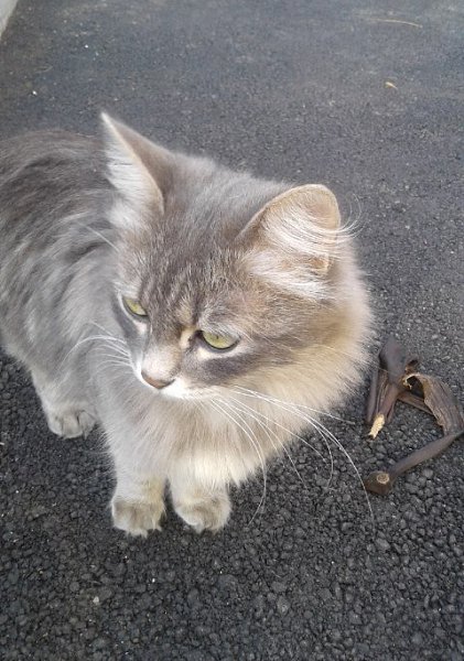 #_.  .            ... ... - 2