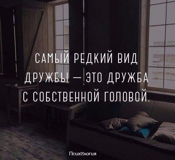  - 17  2017  03:35