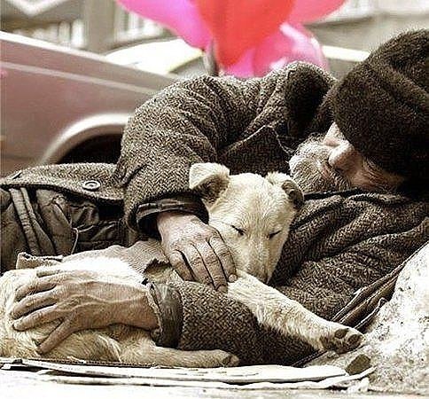 И СТЕКАЛИ СЛЁЗЫ НА РУБАХУ... СТИХИ.Не понять голодную собаку,Тем, кто сытно ужинал вчера,Старый ...