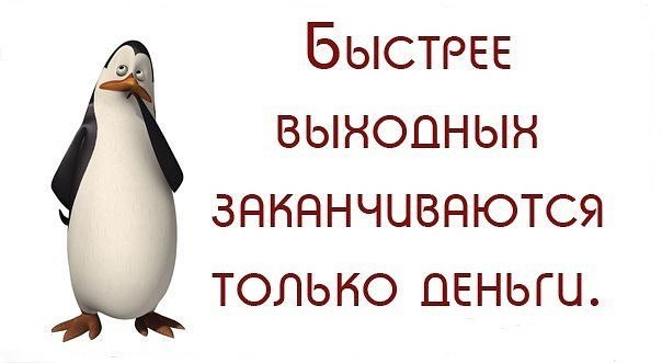     - 13  2017  03:46