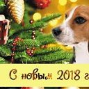 ���� Sanat, ���� - ��������� 30 ������� 2017 � ������ ������ ��������