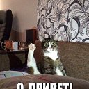 ���� ����, ������, 50 ��� - ��������� 20 ������ 2017 � ������ ���� ����������