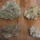 ���� ������, �����-���������, 44 ���� - ��������� 29 ������ 2018 � ������ ���� ����������