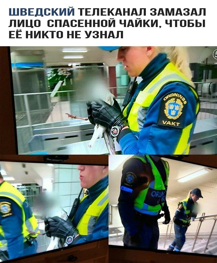    - 9  2017  03:34