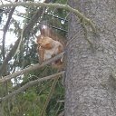 ���� ��������� �������, �����-���������, 62 ���� - ��������� 7 ������ 2018 � ������ ������ ��������