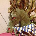 ���� ����, ������, 25 ��� - ��������� 18 ������� 2017 � ������ ���� ����������