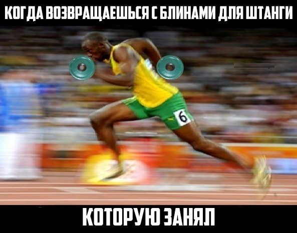 SportFeed - 11  2018  04:18