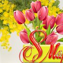 ���� ������, ����������, 55 ��� - ��������� 8 ����� 2018 � ������ �8 ����� ������� ��������