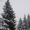 ���� ������, ����� ������, 58 ��� - ��������� 21 ������ 2018 � ������ �������� 21.01.2018 �.�