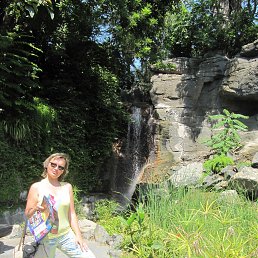 �������, ������, 49 ���