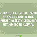 ���� �������, ����������� - ��������� 22 ������ 2017 � ������ ���� ����������