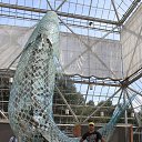 ���� ����, ����������, 50 ��� - ��������� 10 ��� 2018 � ������ �������