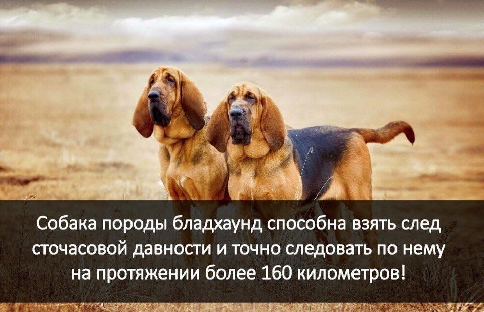   :    - 7  2018  03:56
