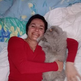 ����, �����������, 50 ���