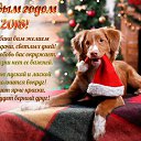 ���� ������, ������ - ��������� 31 ������� 2017 � ������ ������ ��������
