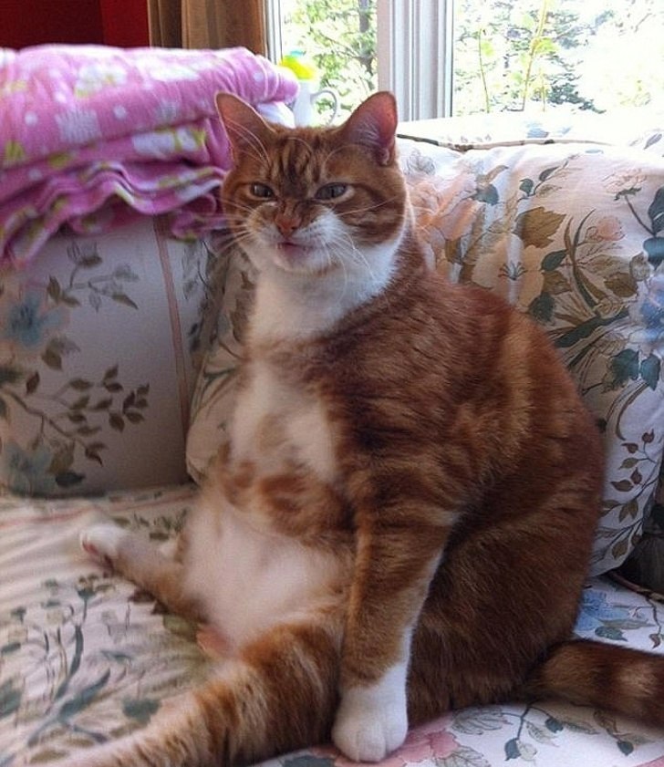 :   .:  -    - 3