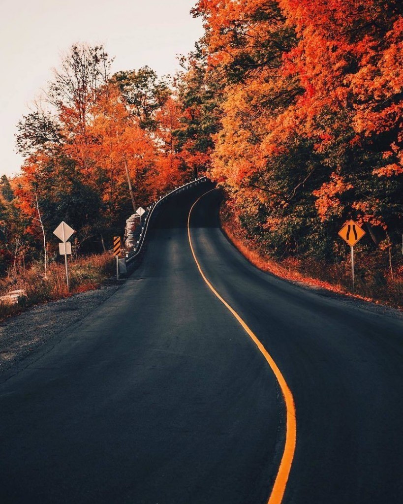 Ontario, Canada - 6