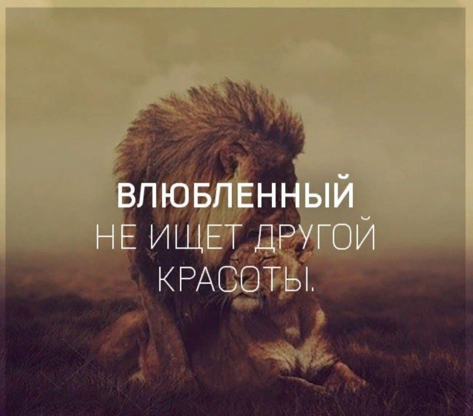     - 24  2018  03:57
