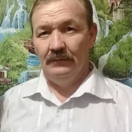 , 54 , 